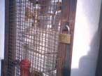 sigillo